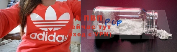 экстази Белокуриха