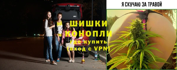 экстази Белокуриха