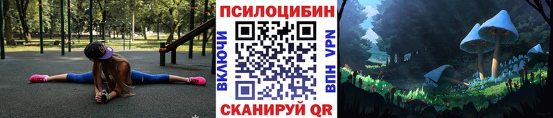 Галлюциногенные грибы Psilocybine cubensis  магазин  наркотиков  Мглин 