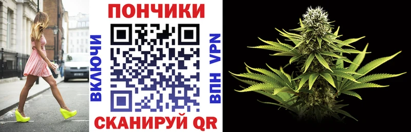 Каннабис ГИДРОПОН  купить  цена  Мглин 